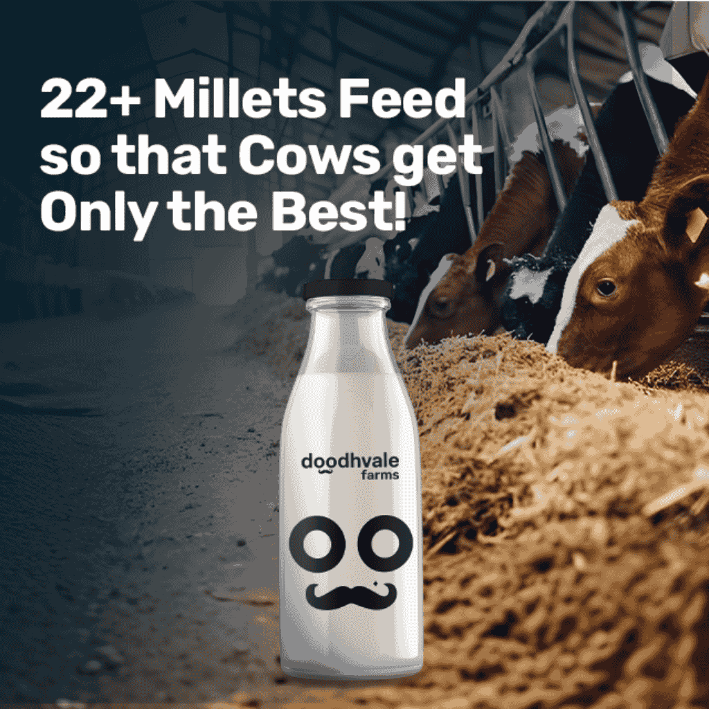 doodhvale farms Mobile banner 2