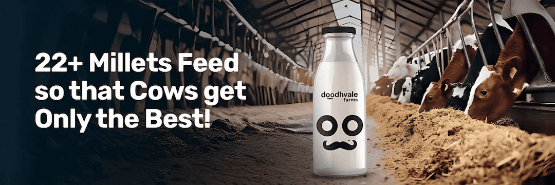 doodhvale farms Home banner 2