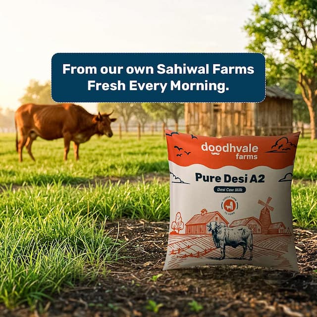 doodhvale farms Buy Pure Desi A2 Cow Milk